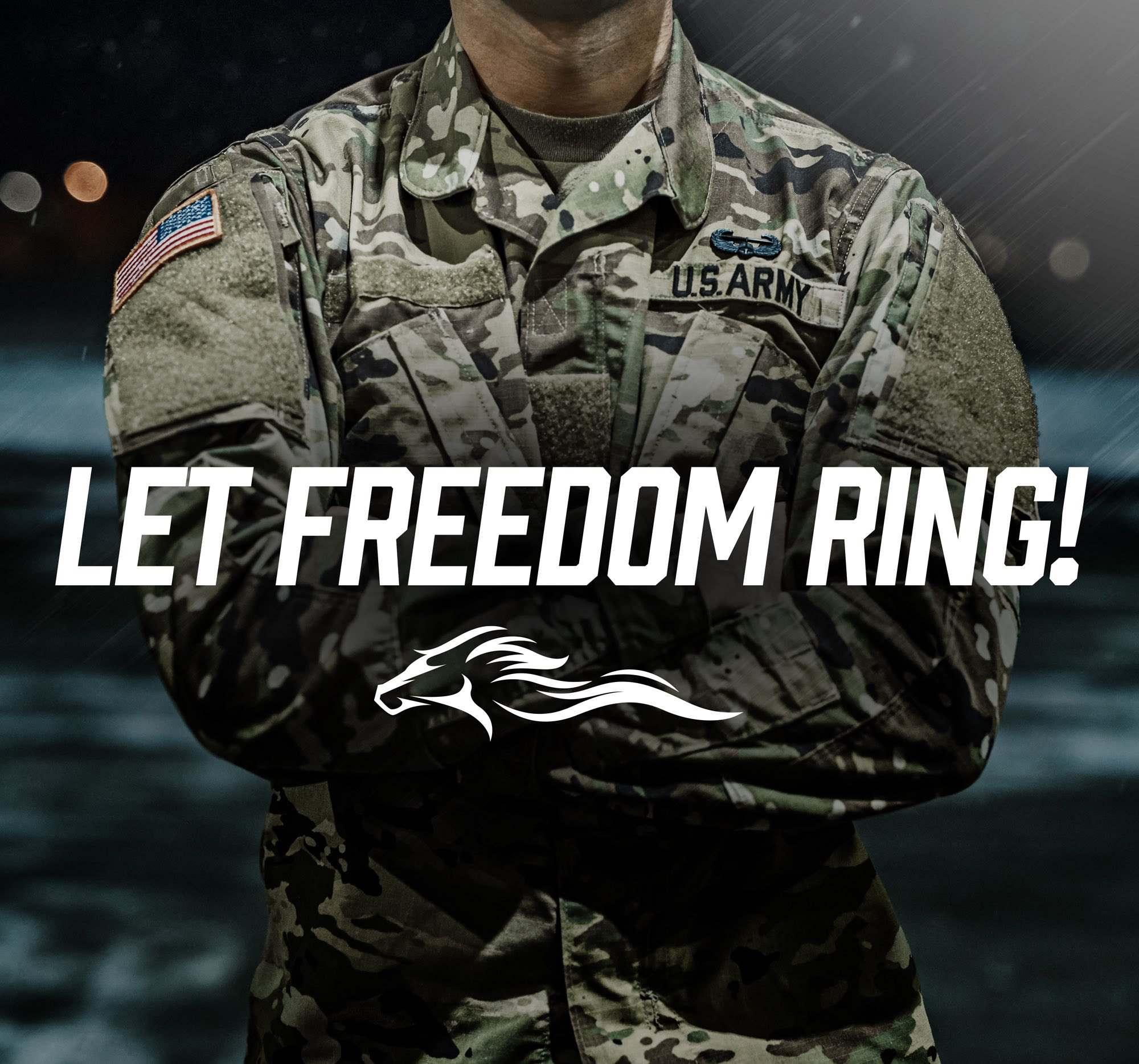 ANDERSON-LET-FREEDOM-RING-banner